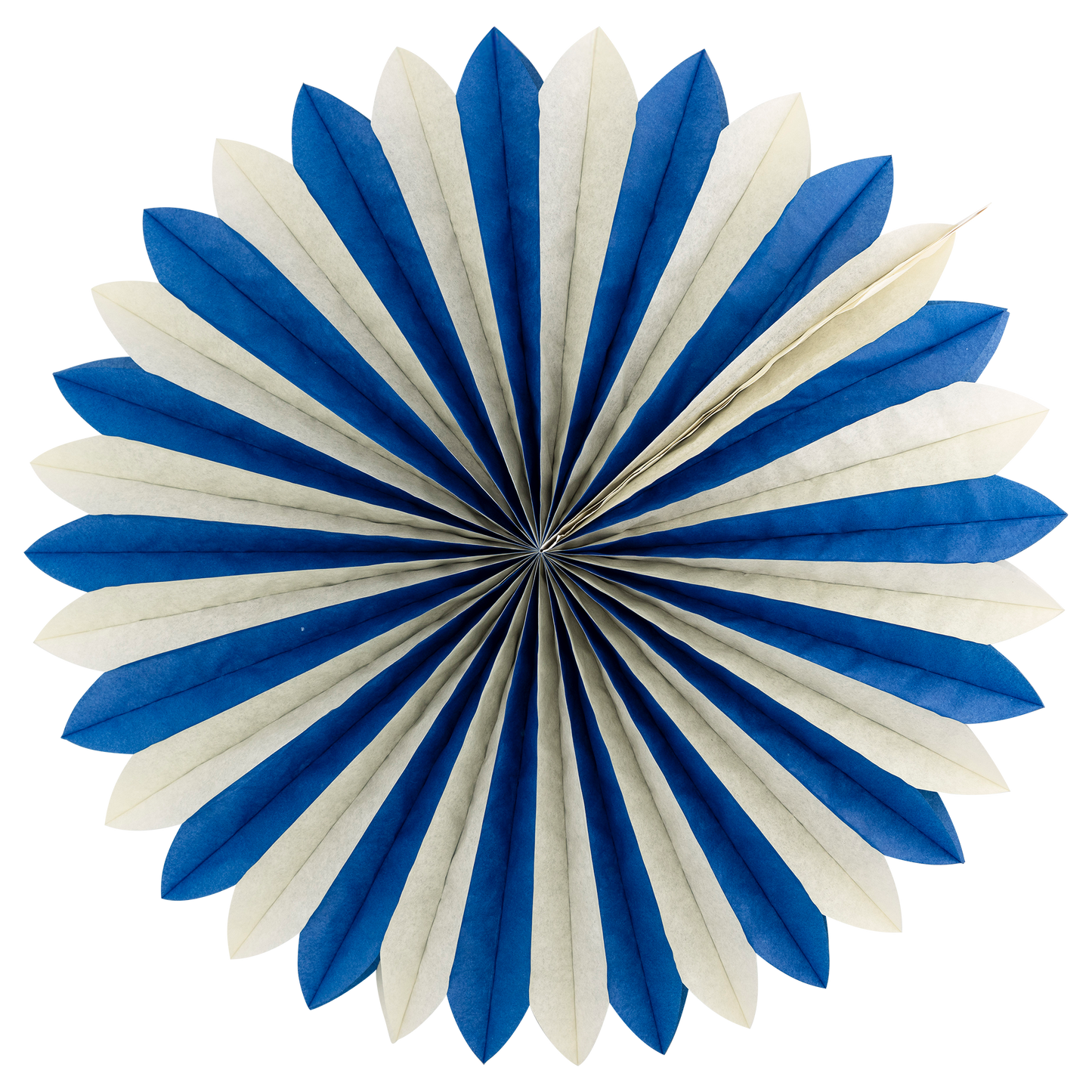 Multi Color Tissue Party Fans