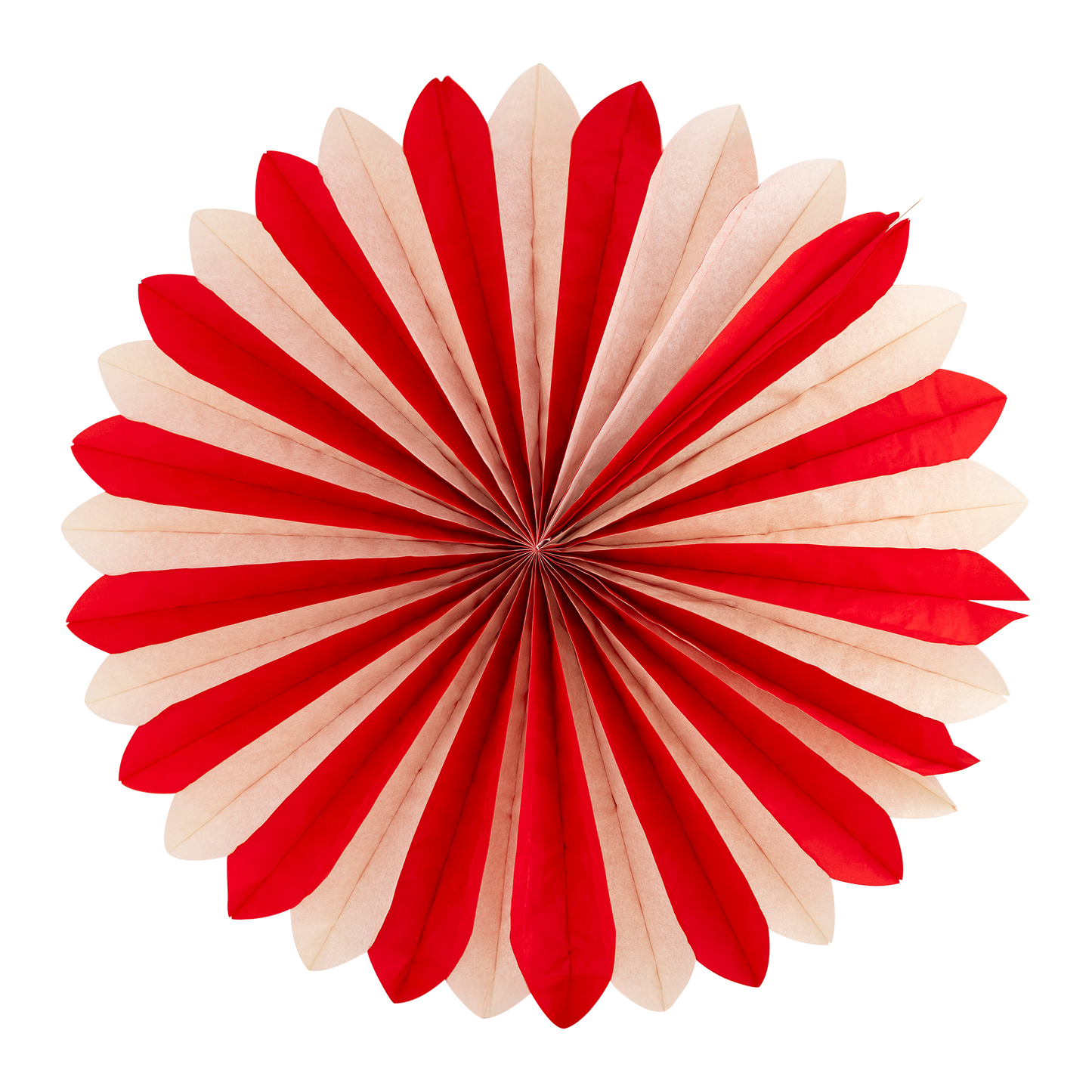 Multi Color Tissue Party Fans