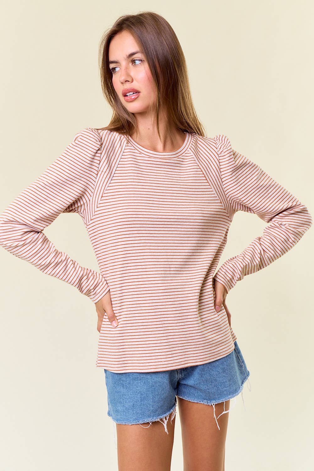 Light Weight Striped Jersey Puff Long Sleeve Top