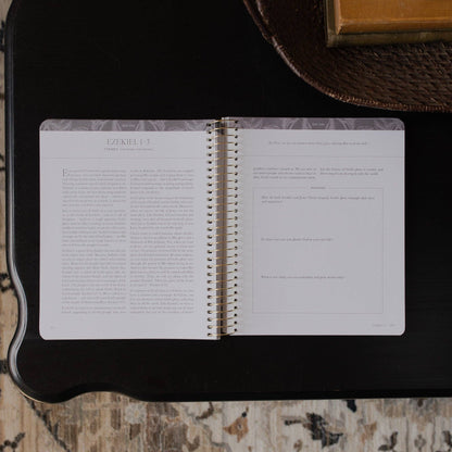 A Year in the Bible | 365 Days of Discovering the Beauty of Jesus Volumn 3