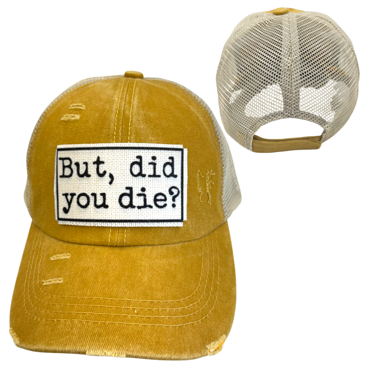BUT DID YOU DIE? BALL CAP