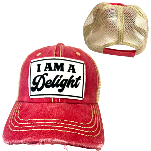 I AM A DELIGHT | DISTRESSED | UNISEX HAT
