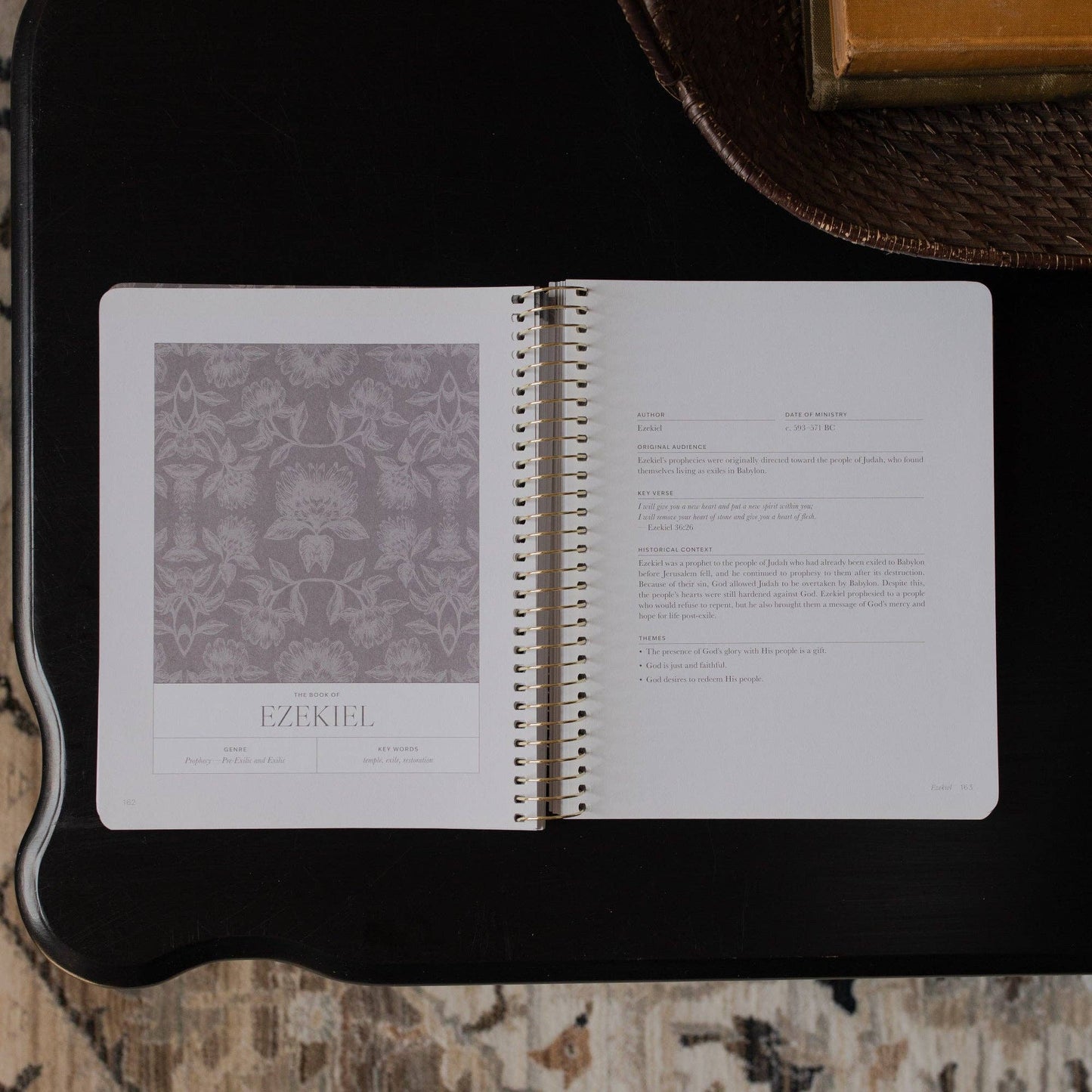 A Year in the Bible | 365 Days of Discovering the Beauty of Jesus Volumn 3