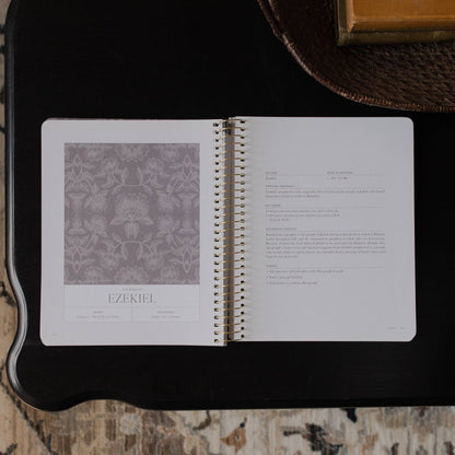 A Year in the Bible | 365 Days of Discovering the Beauty of Jesus Volumn 3