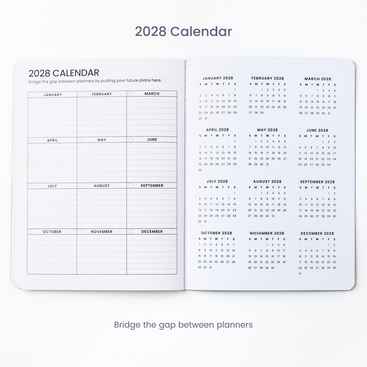 2027 Monthly Planner - Midnight Petals