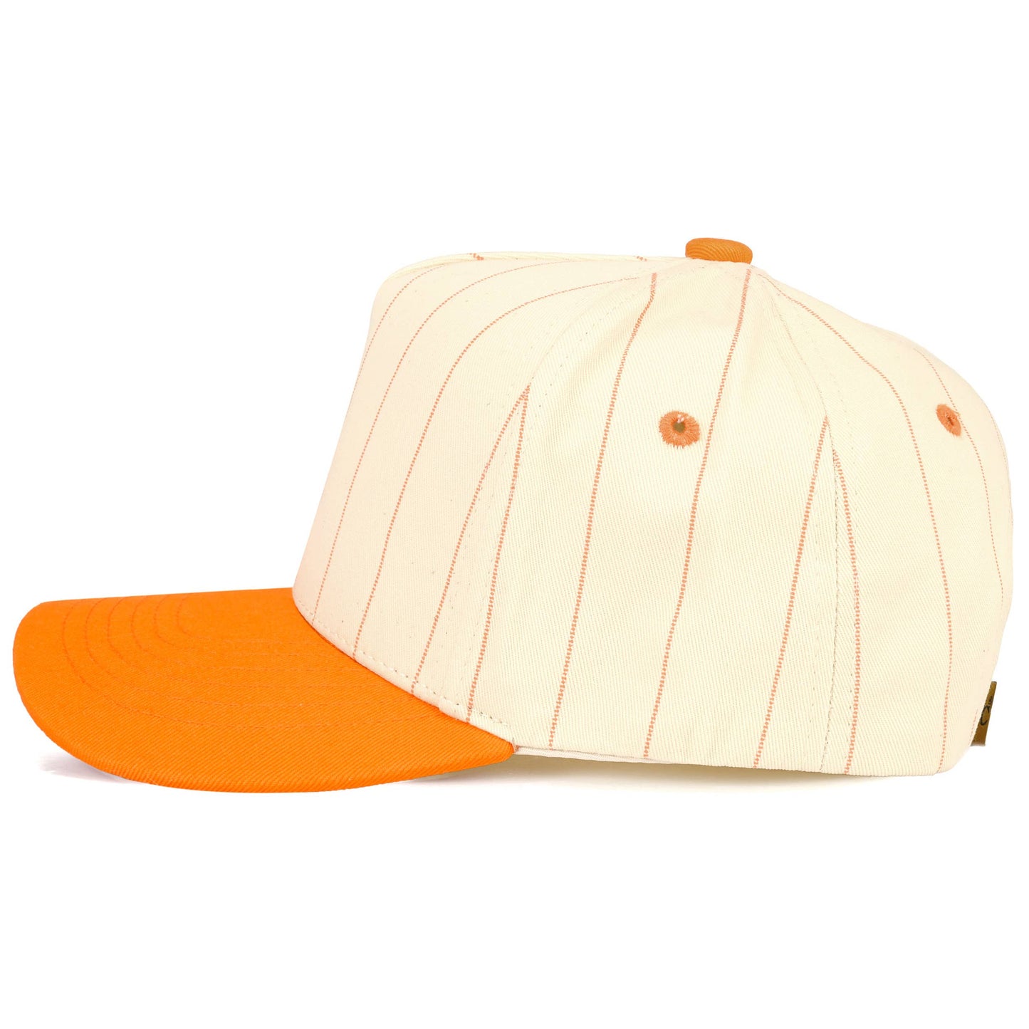 C.C Pinstripe Palin Two Tone Trucker Cap
