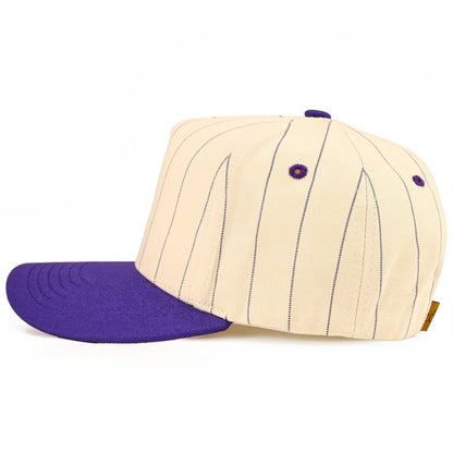 C.C Pinstripe Palin Two Tone Trucker Cap