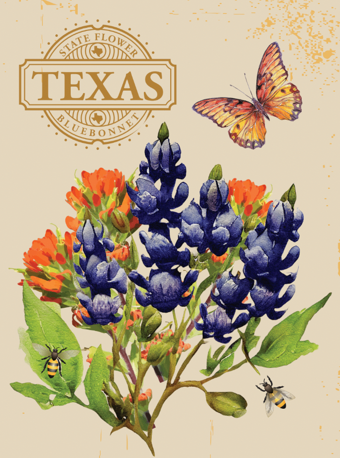 Texas Bee Feed - Texas Bluebonnet Seed Packets