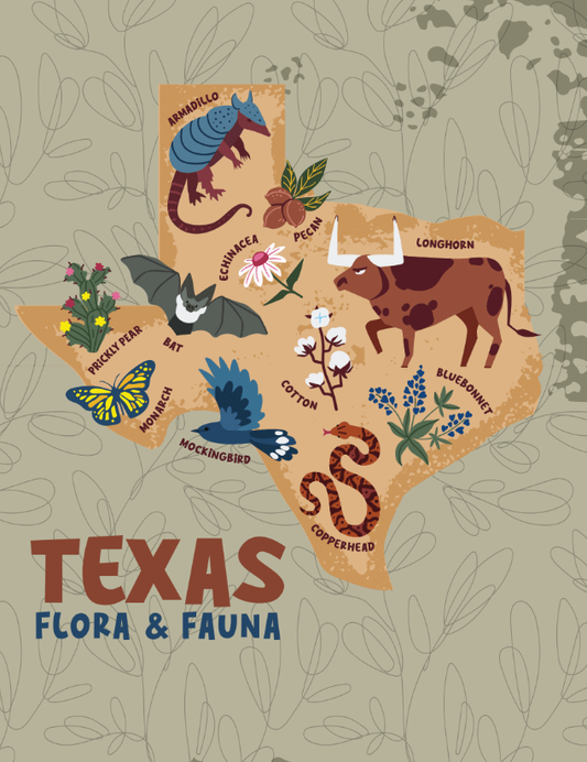 Texas Flora and Fauna - Wildflower Seed Packets