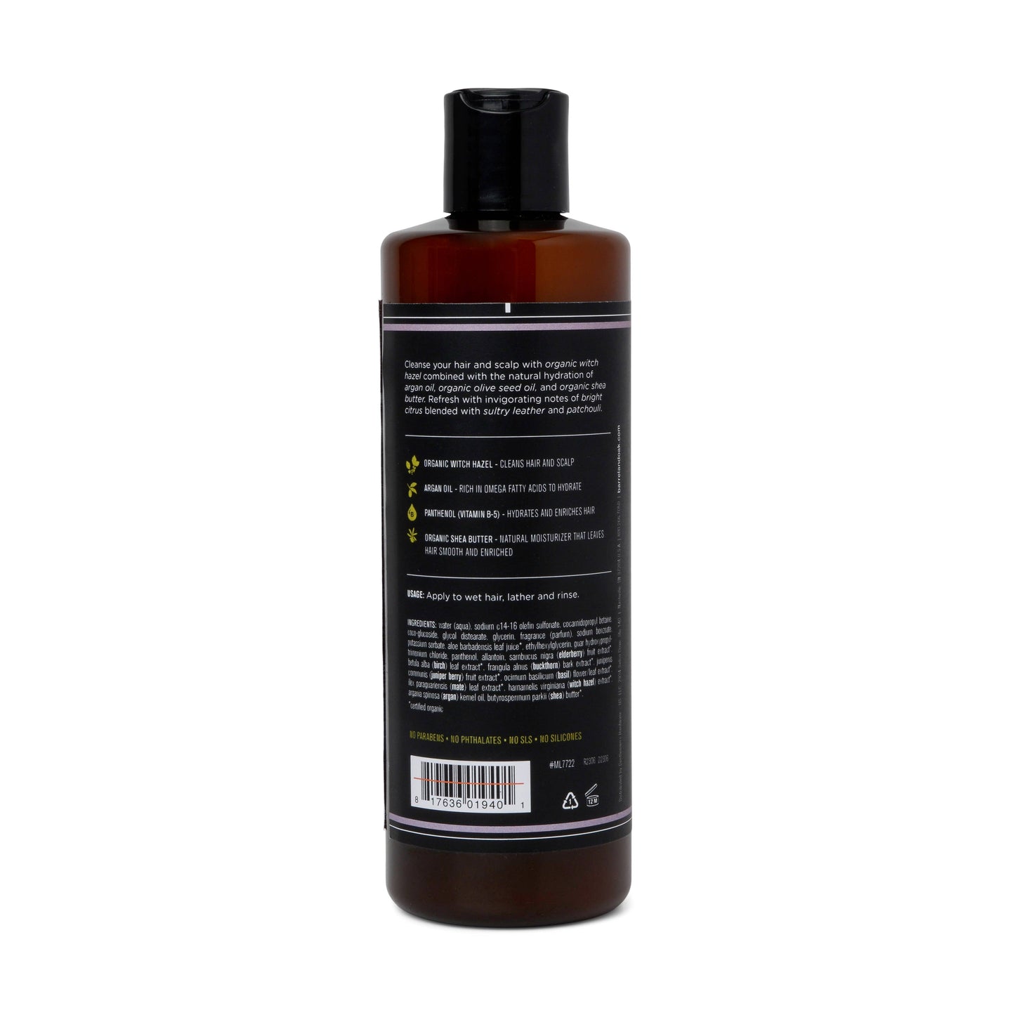 2-In-1 Shampoo & Conditioner - Woodland Birch - 16 fl oz