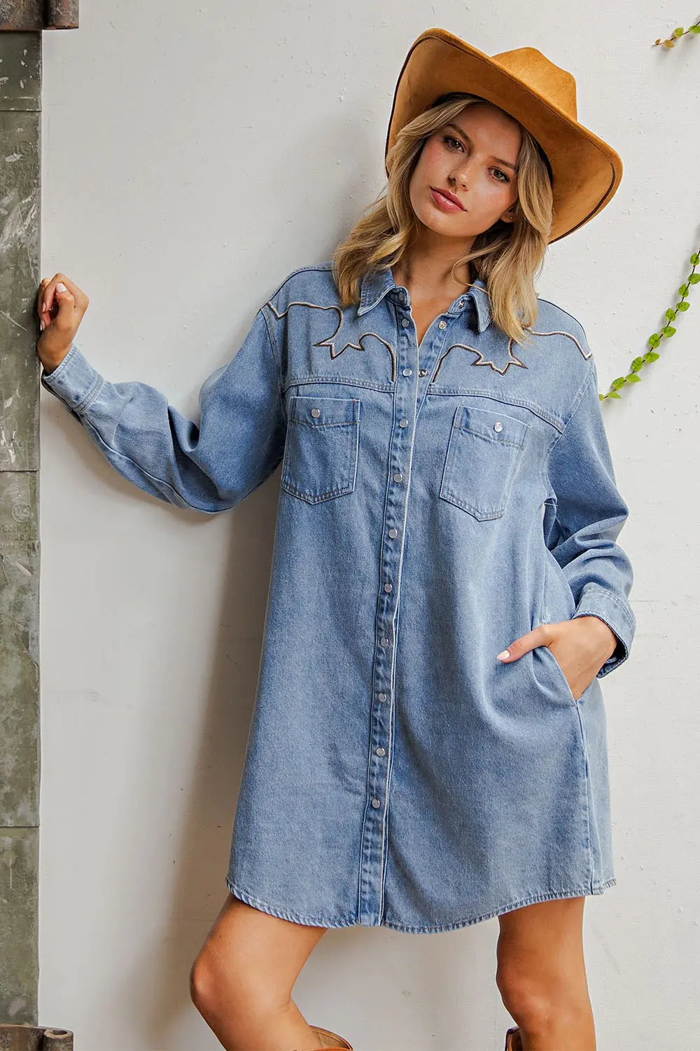 Mineral Washed embroidered Yoke Denim Dress