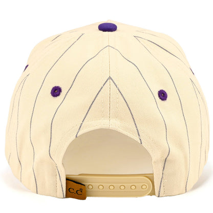 C.C Pinstripe Palin Two Tone Trucker Cap