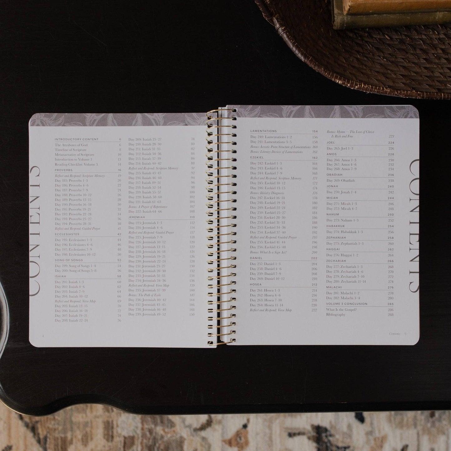 A Year in the Bible | 365 Days of Discovering the Beauty of Jesus Volumn 3